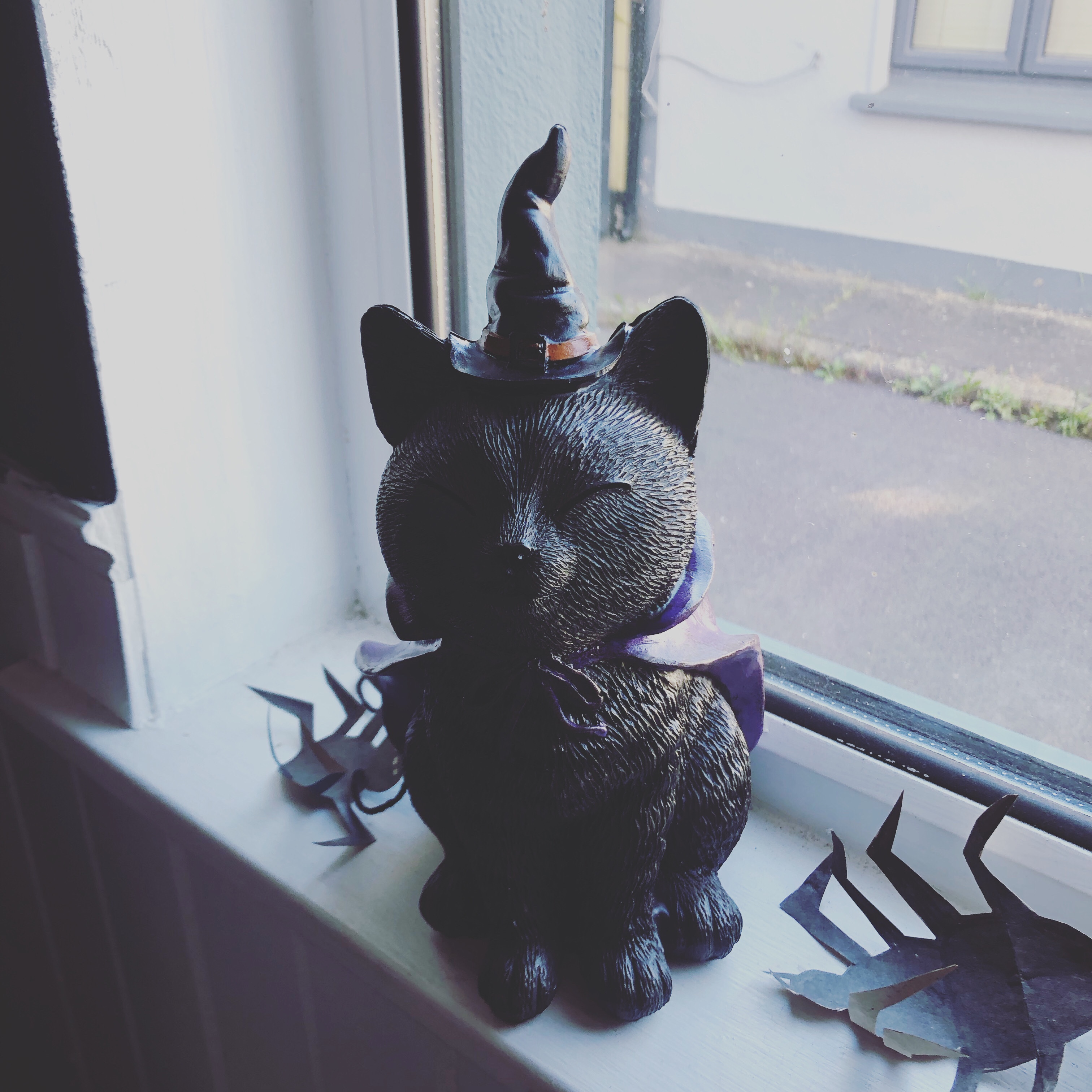 Black cat with a black pointy hat and a purple cape on a window sill with two spiders made of paper