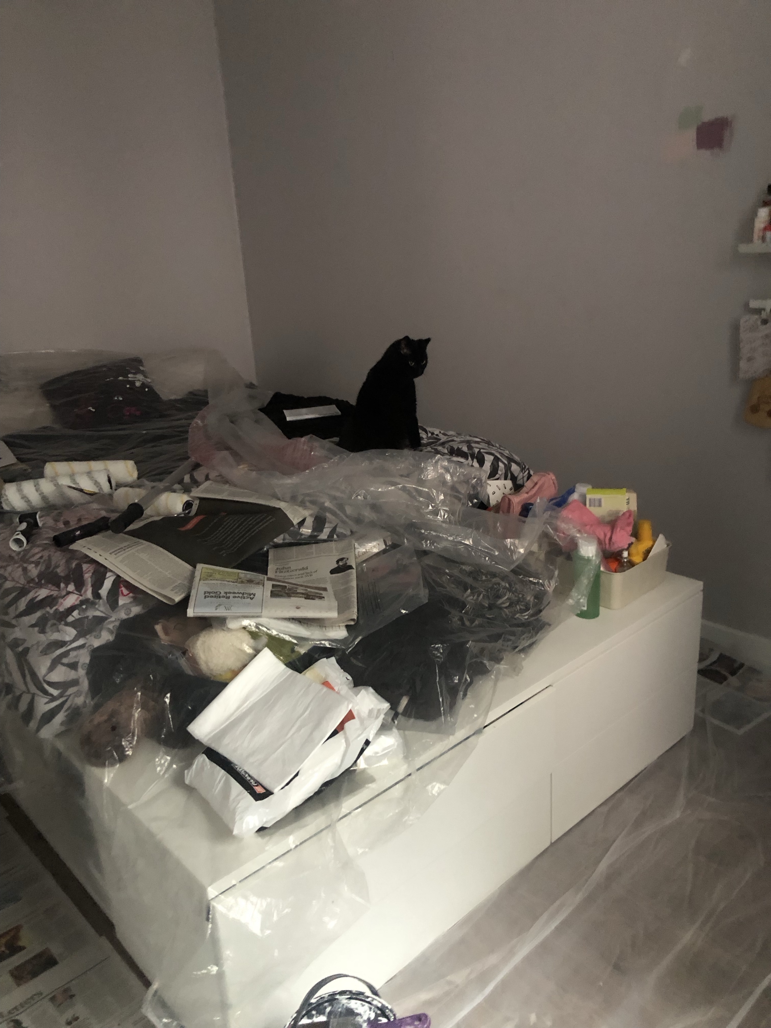 White bed in a middle of a room covered with a plastic sheet. On the right of the bed there’s a black cat stretching. Walls are grey.
