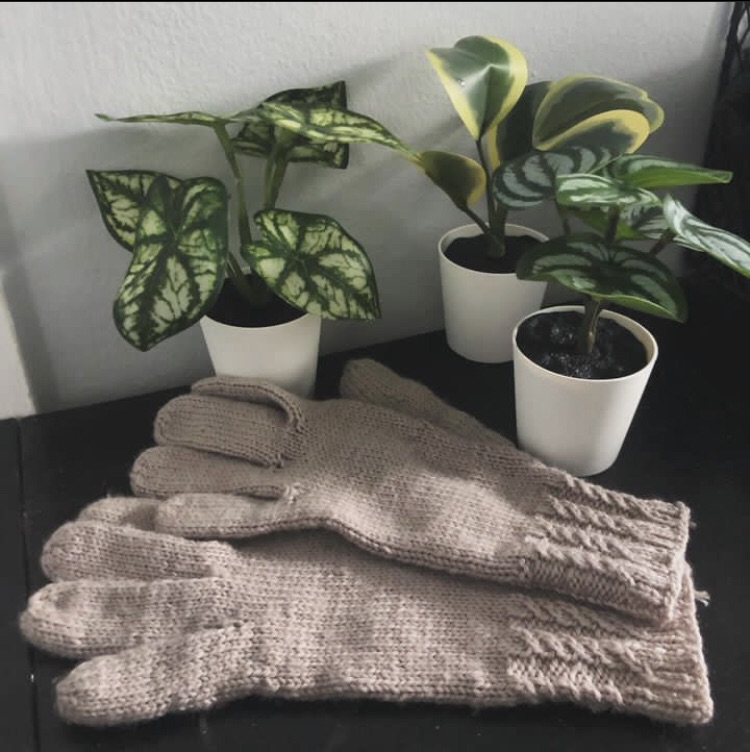 Pair of knitted cream gloves on a black shelve. Three small fake plants in white vases are on the background.